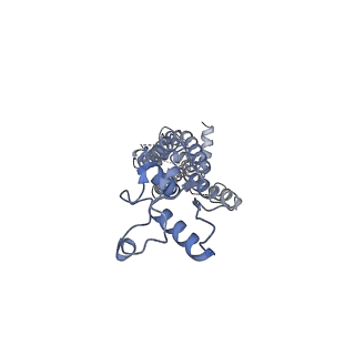 34266_8gts_A_v1-1
CryoEM structure of human Pannexin1 with R217H congenital mutation.