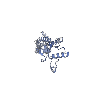 34266_8gts_B_v1-1
CryoEM structure of human Pannexin1 with R217H congenital mutation.