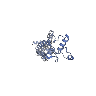 34266_8gts_C_v1-1
CryoEM structure of human Pannexin1 with R217H congenital mutation.