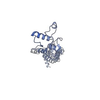 34266_8gts_E_v1-1
CryoEM structure of human Pannexin1 with R217H congenital mutation.