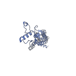 34266_8gts_F_v1-1
CryoEM structure of human Pannexin1 with R217H congenital mutation.