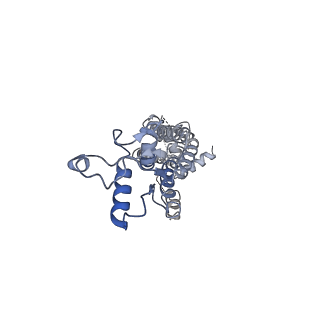 34266_8gts_G_v1-1
CryoEM structure of human Pannexin1 with R217H congenital mutation.