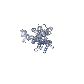 34267_8gtt_B_v1-0
Cryo-EM structure of human Pannexin1 resembling Pannexin2 pore with W74R/R75Dmutations