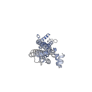 34267_8gtt_D_v1-0
Cryo-EM structure of human Pannexin1 resembling Pannexin2 pore with W74R/R75Dmutations