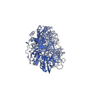 34270_8gu6_A_v1-0
Structure of the SbCas7-11-crRNA-NTR-Csx29 complex