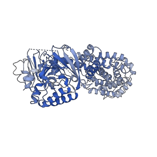 34270_8gu6_D_v1-0
Structure of the SbCas7-11-crRNA-NTR-Csx29 complex