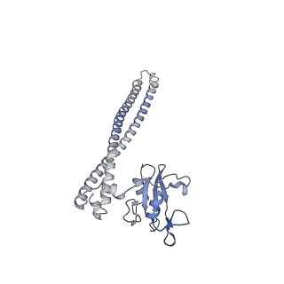 34272_8gub_B_v1-0
Cryo-EM structure of cancer-specific PI3Kalpha mutant H1047R in complex with BYL-719
