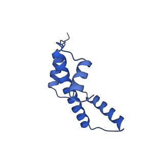 34274_8gui_A_v2-0
Bre1-nucleosome complex (Model I)