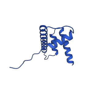 34274_8gui_D_v2-0
Bre1-nucleosome complex (Model I)