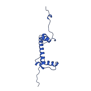 34274_8gui_G_v2-0
Bre1-nucleosome complex (Model I)