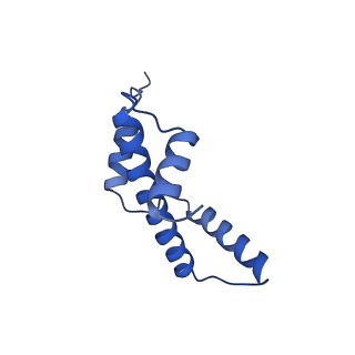 34274_8guj_A_v1-0
Bre1-nucleosome complex (Model II)