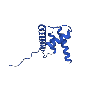 34274_8guj_D_v2-0
Bre1-nucleosome complex (Model II)