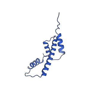 34274_8guj_E_v1-0
Bre1-nucleosome complex (Model II)