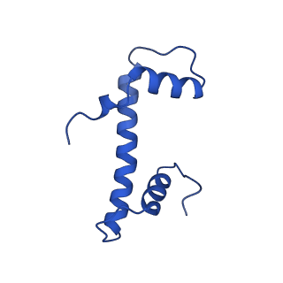 34274_8guj_F_v1-0
Bre1-nucleosome complex (Model II)