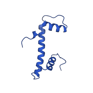 34274_8guj_F_v2-0
Bre1-nucleosome complex (Model II)