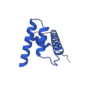 34274_8guj_H_v1-0
Bre1-nucleosome complex (Model II)