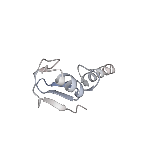 34274_8guj_K_v2-0
Bre1-nucleosome complex (Model II)