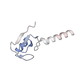 34274_8guj_L_v1-0
Bre1-nucleosome complex (Model II)