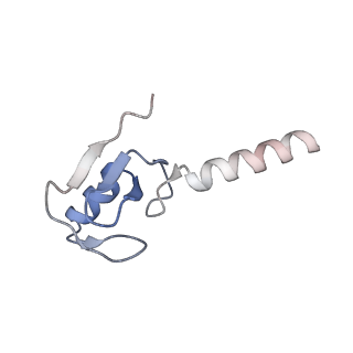 34274_8guj_L_v2-0
Bre1-nucleosome complex (Model II)