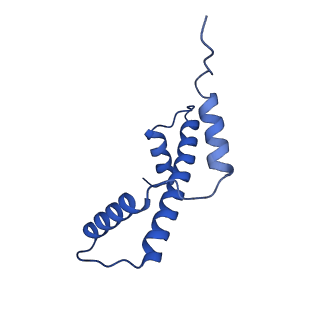 34275_8guk_A_v2-0
Human nucleosome core particle (free form)