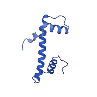 34275_8guk_B_v1-0
Human nucleosome core particle (free form)