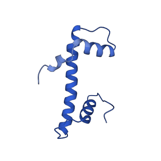 34275_8guk_B_v2-0
Human nucleosome core particle (free form)