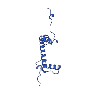 34275_8guk_C_v1-0
Human nucleosome core particle (free form)