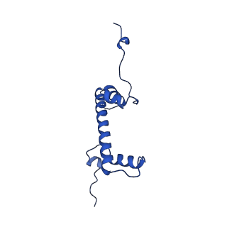 34275_8guk_C_v2-0
Human nucleosome core particle (free form)