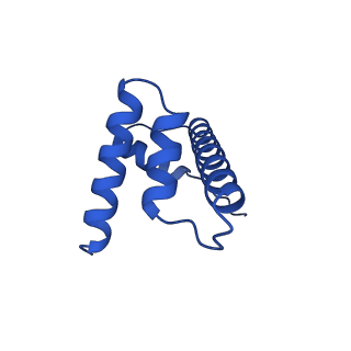 34275_8guk_D_v2-0
Human nucleosome core particle (free form)