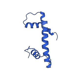 34275_8guk_F_v2-0
Human nucleosome core particle (free form)