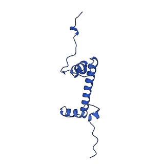 34275_8guk_G_v1-0
Human nucleosome core particle (free form)