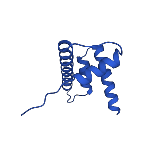 34275_8guk_H_v2-0
Human nucleosome core particle (free form)