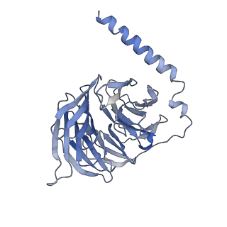 34276_8guq_B_v1-1
Cryo-EM structure of CB2-G protein complex