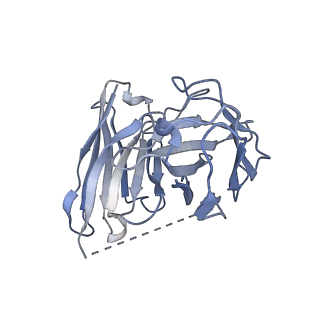 34276_8guq_S_v1-1
Cryo-EM structure of CB2-G protein complex