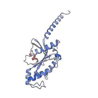 34277_8gur_A_v1-0
Cryo-EM structure of CP-CB2-G protein complex