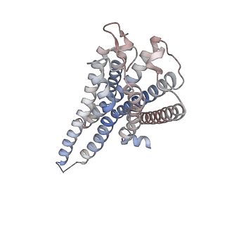 34277_8gur_R_v1-0
Cryo-EM structure of CP-CB2-G protein complex