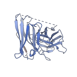 34277_8gur_S_v1-0
Cryo-EM structure of CP-CB2-G protein complex