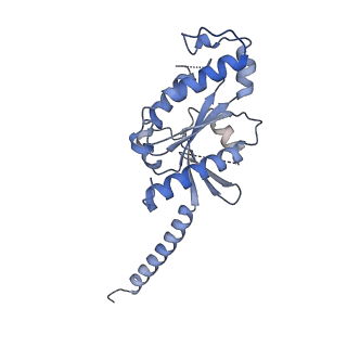 34278_8gus_A_v1-0
Cryo-EM structure of HU-CB2-G protein complex