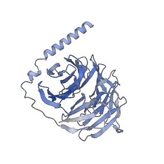 34278_8gus_B_v1-0
Cryo-EM structure of HU-CB2-G protein complex