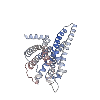 34278_8gus_R_v1-0
Cryo-EM structure of HU-CB2-G protein complex