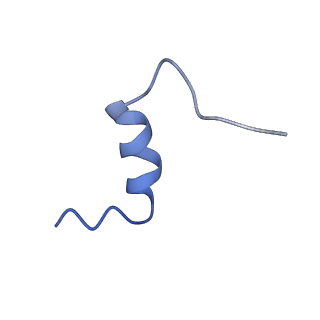 34281_8guy_B_v1-0
human insulin receptor bound with two insulin molecules
