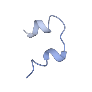 34281_8guy_C_v1-0
human insulin receptor bound with two insulin molecules
