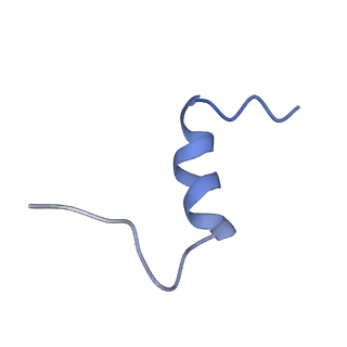 34281_8guy_D_v1-0
human insulin receptor bound with two insulin molecules
