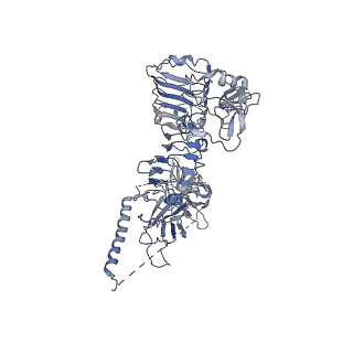 34281_8guy_E_v1-0
human insulin receptor bound with two insulin molecules