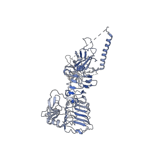 34281_8guy_F_v1-0
human insulin receptor bound with two insulin molecules
