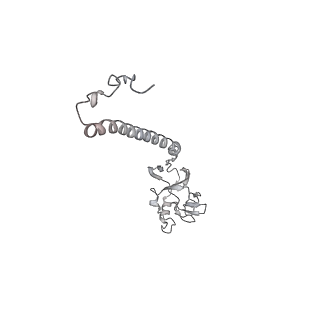 9539_5gup_4_v1-1
Cryo-EM structure of mammalian respiratory supercomplex I1III2IV1