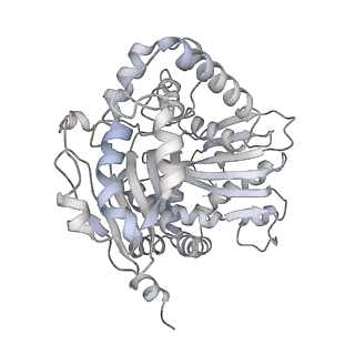 9539_5gup_5_v1-1
Cryo-EM structure of mammalian respiratory supercomplex I1III2IV1