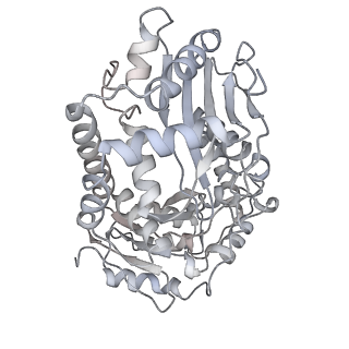 9539_5gup_6_v1-1
Cryo-EM structure of mammalian respiratory supercomplex I1III2IV1
