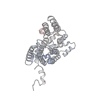 9539_5gup_7_v1-1
Cryo-EM structure of mammalian respiratory supercomplex I1III2IV1