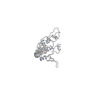 9539_5gup_8_v1-1
Cryo-EM structure of mammalian respiratory supercomplex I1III2IV1